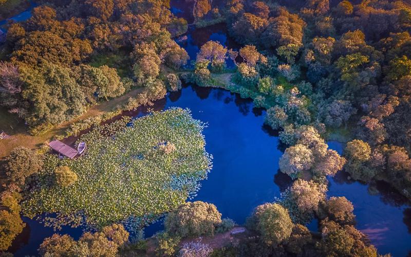 Trecombe Lakes カムボーン エクステリア 写真