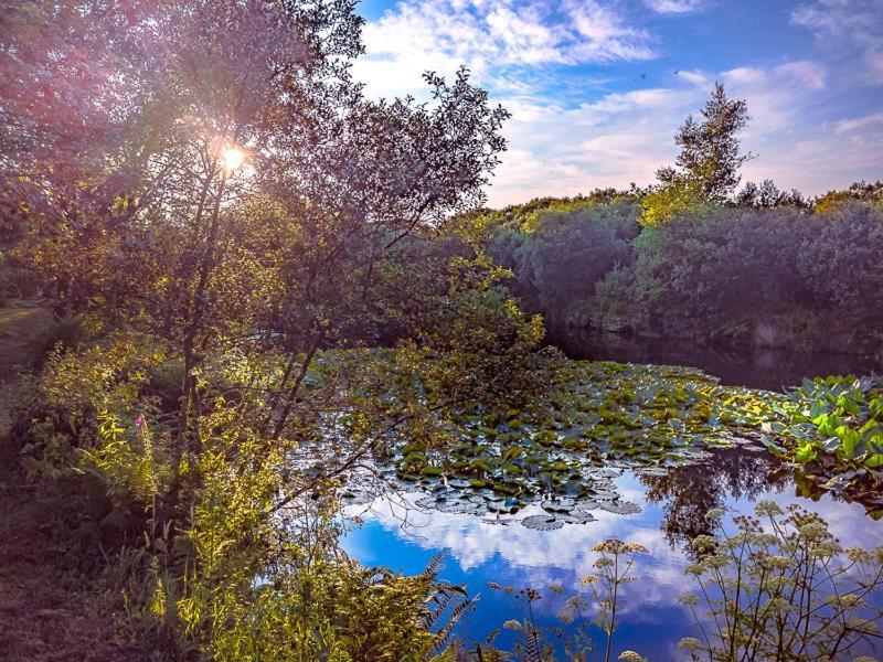 Trecombe Lakes カムボーン エクステリア 写真