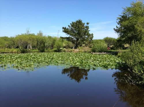 Trecombe Lakes カムボーン エクステリア 写真
